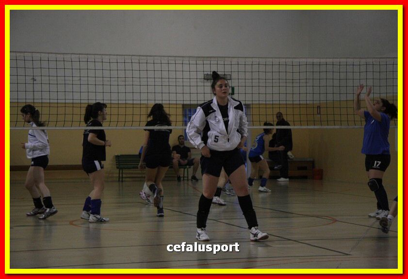 150508_Primula 015_tn.jpg